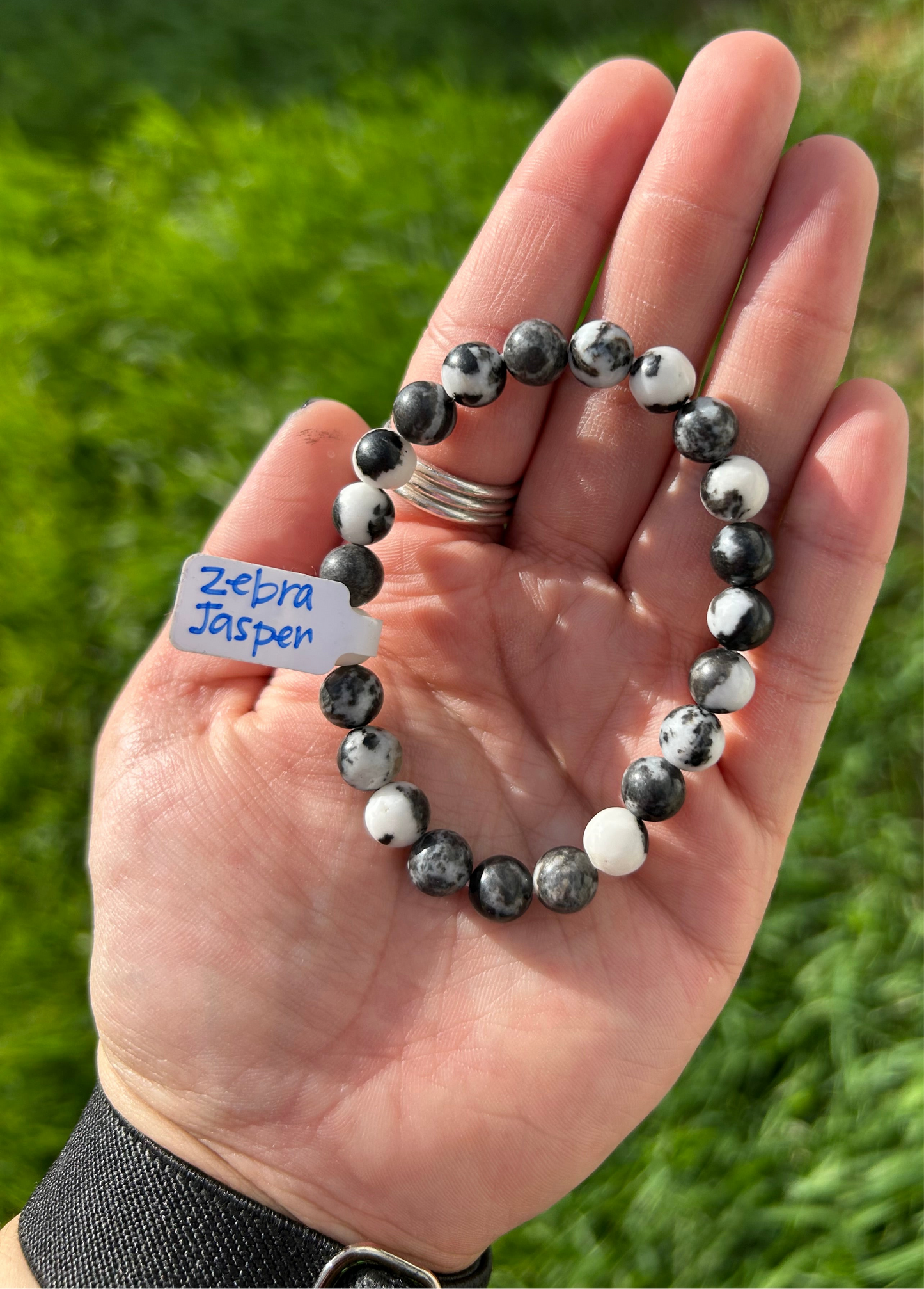 Zebra Jasper Bracelet 8mm